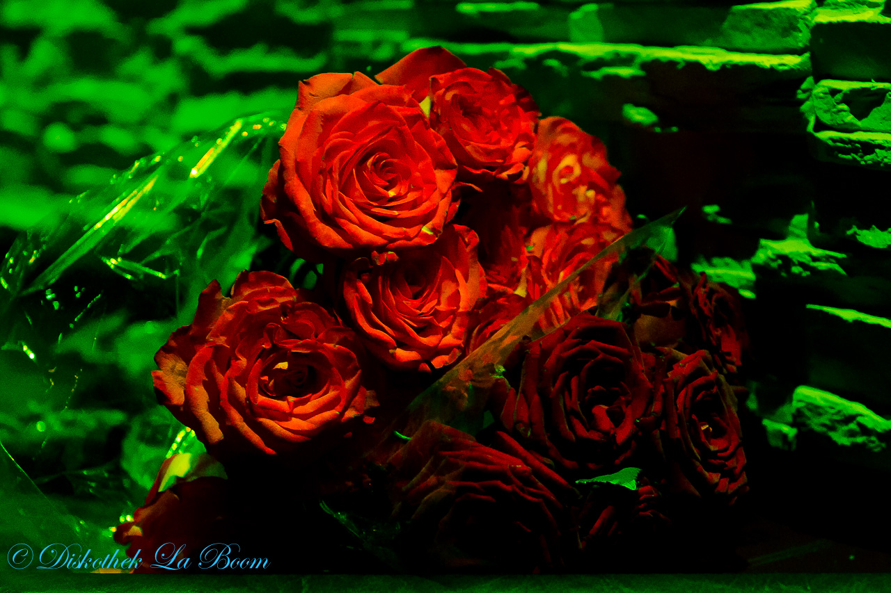 20120617 IMG 1988