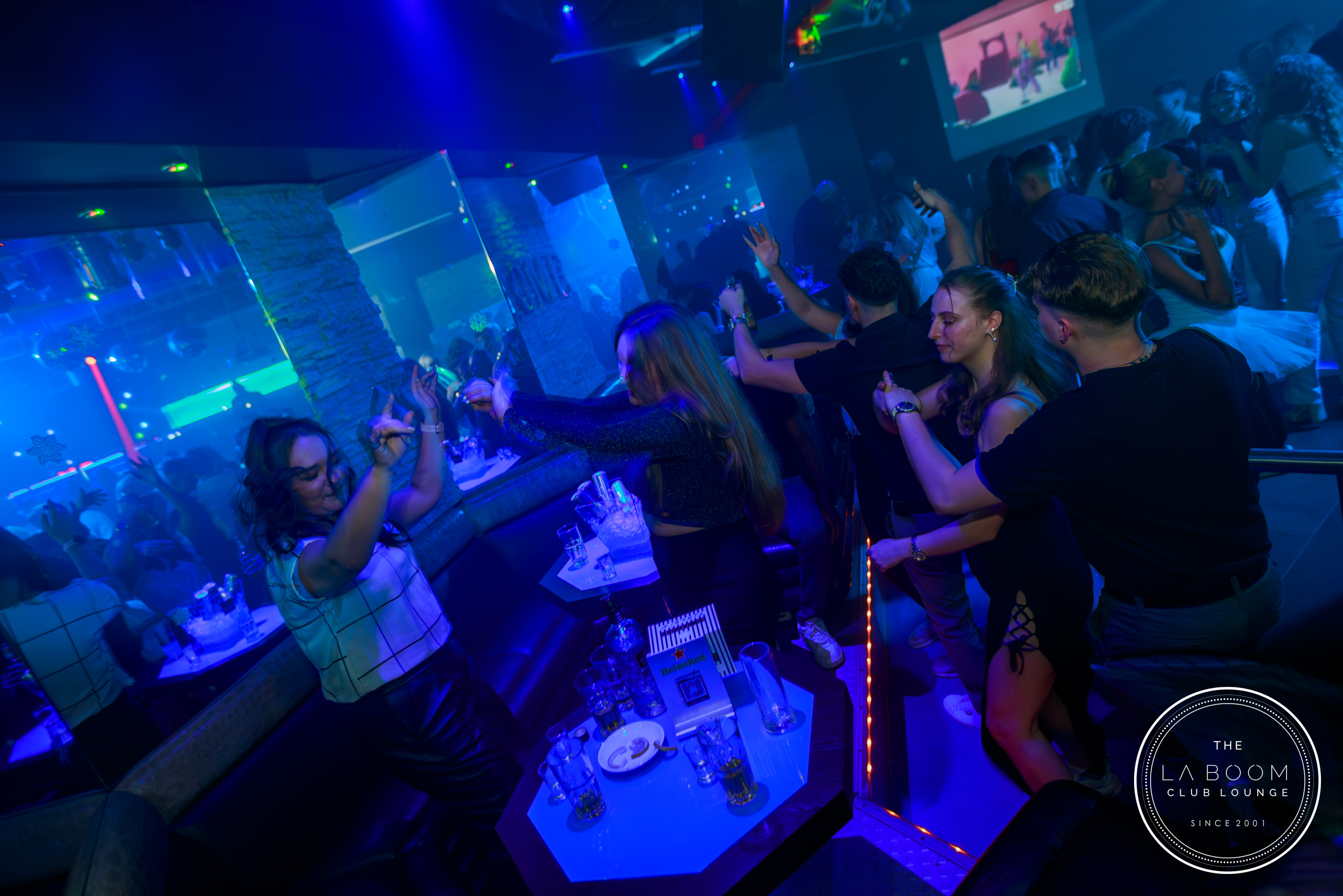 IMG 4031 Verbessert RR