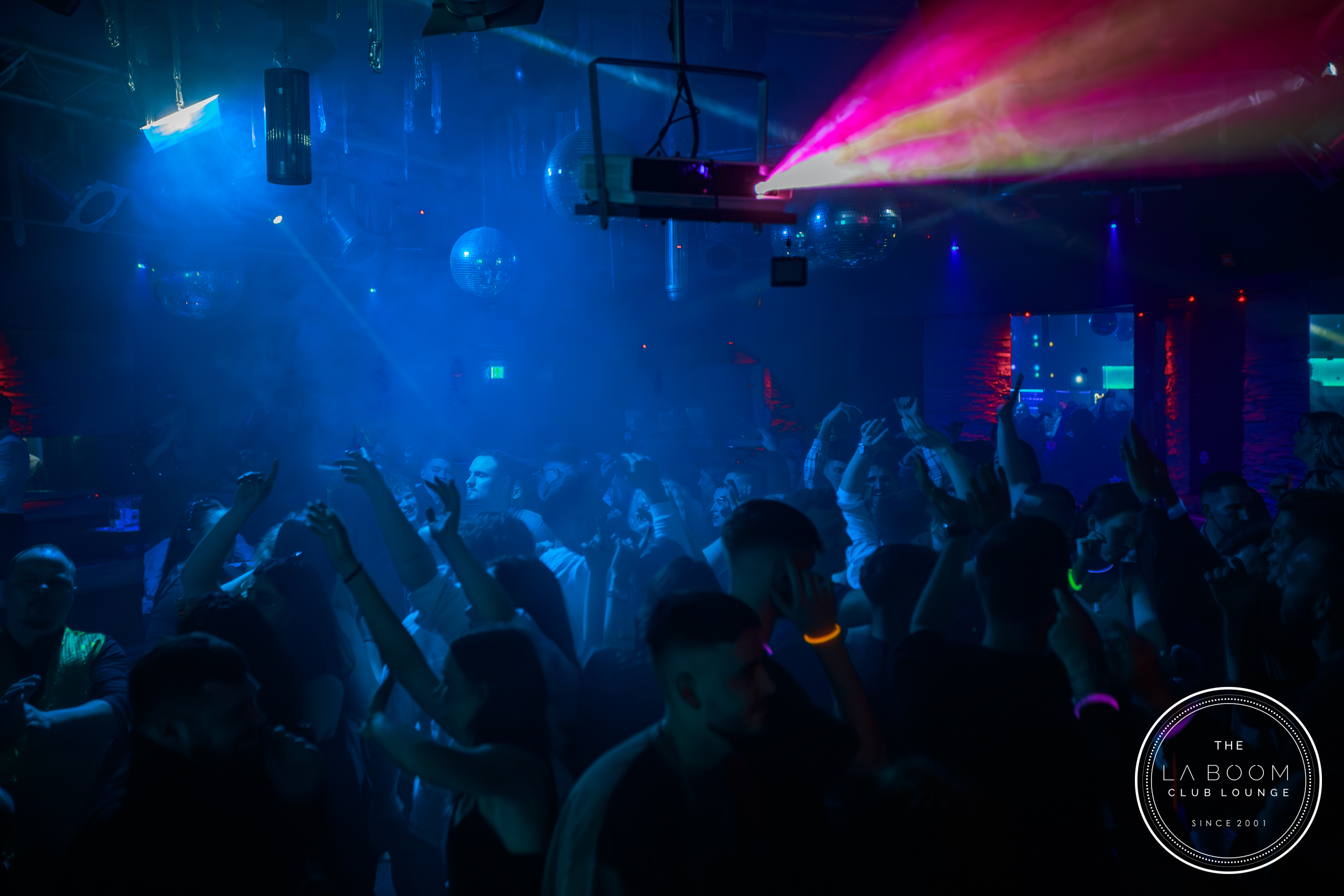 IMG 4058 Verbessert RR