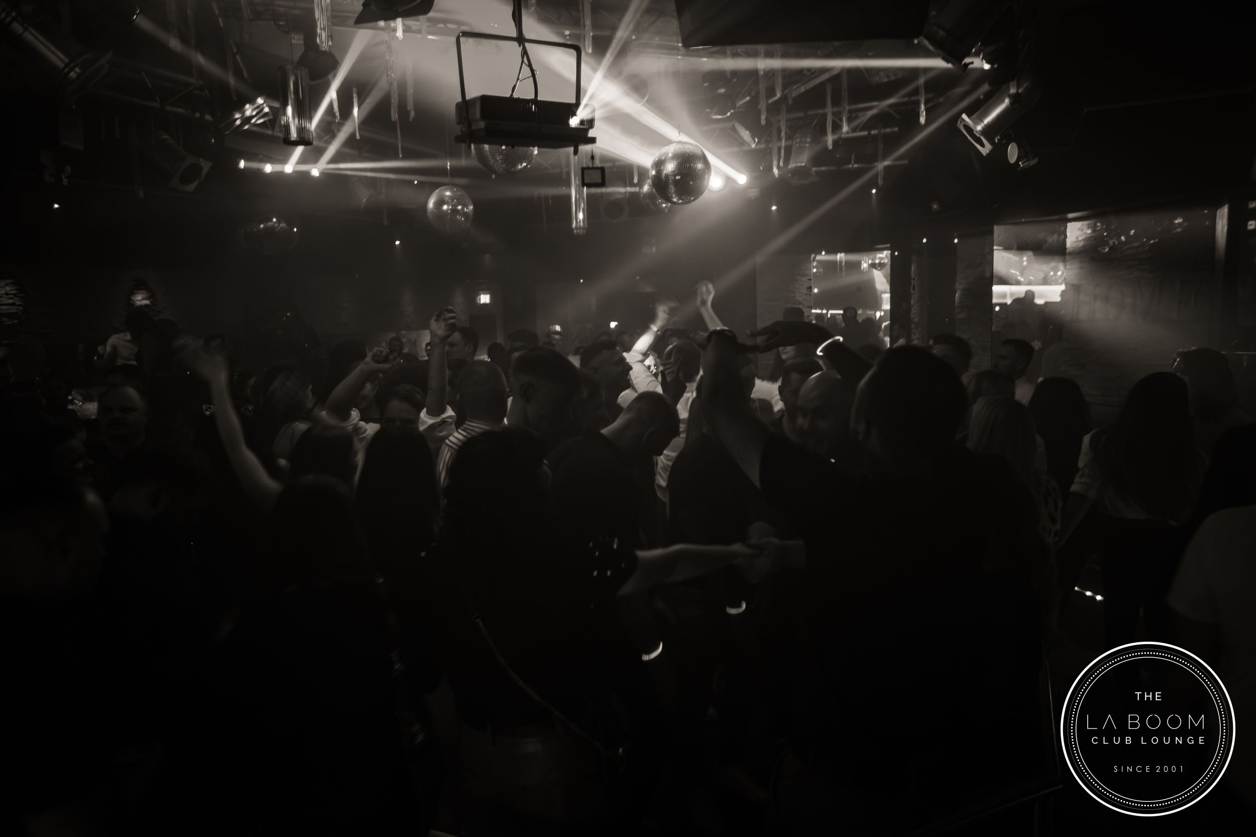 IMG 4064 Verbessert RR